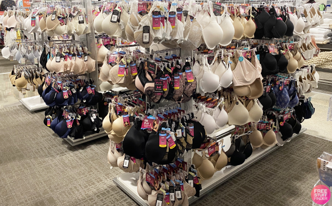 Overview of Maidenform Bras