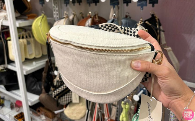 Belt Bag at Target 3