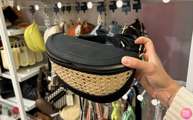 Belt Bag at Target 1