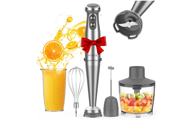 5 in 1 Immersion Blender Set