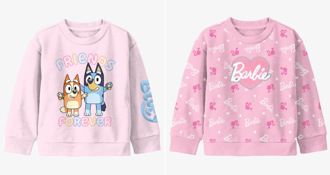 Carters Toddler Bluey and Disney Princess Pullover Sweatshirts