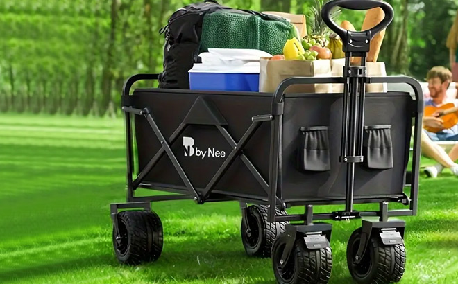 Collapsible Utility Cart $15