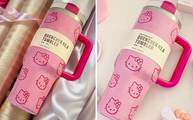 40 Ounce Hello Kitty Stainless Steel Tumblers