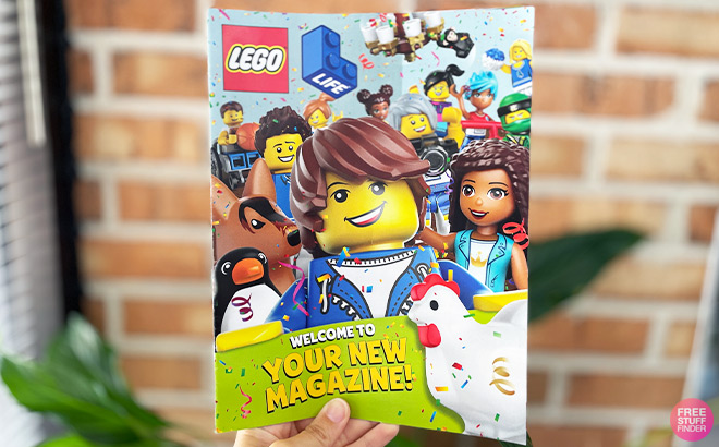 A Person Holding a LEGO Magazine 