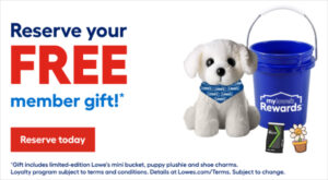 Lowes Free Gift