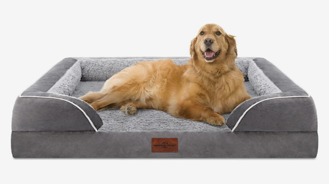 Comfort Expression Large Orthopedic Dog Bed in grey