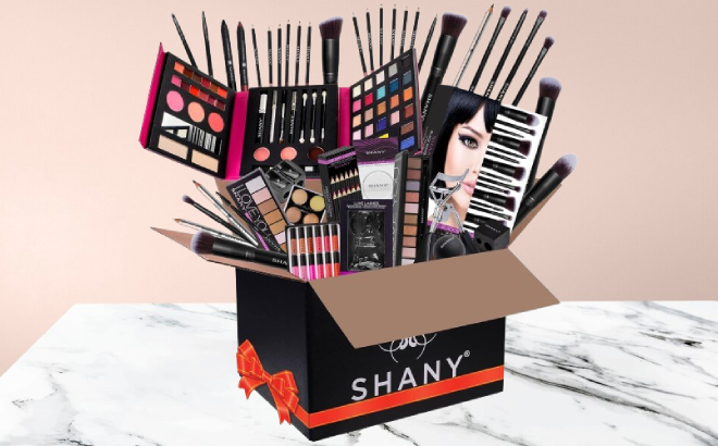 Shany Makeup Bundle $21 at Amazon