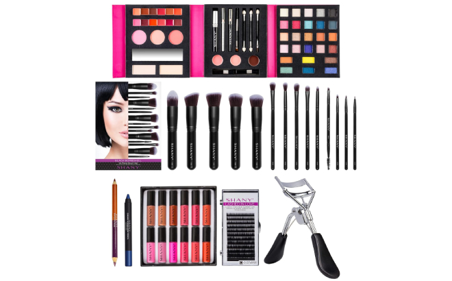 Possible Content of Shany Cosmetics All in One Makeup Bundle