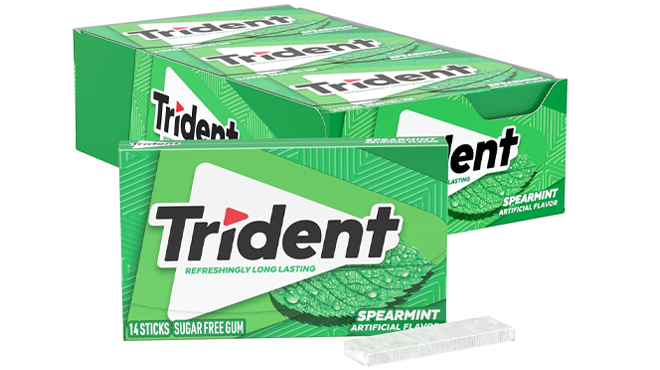 Trident Spearmint Sugar Free Gum 12 Pack