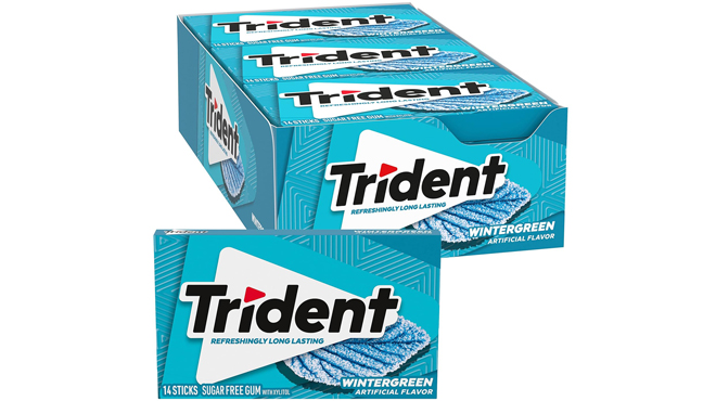 Trident Wintergreen Sugar Free Gum 12 Pack